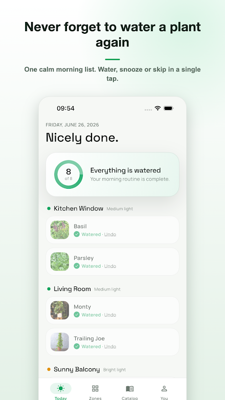 Mossby screen